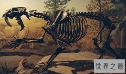 史上最凶残的猫科动物：异剑齿虎（生存在170万年前）