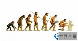 世界上十大高智商的动物排行榜 你知道谁最聪明吗？