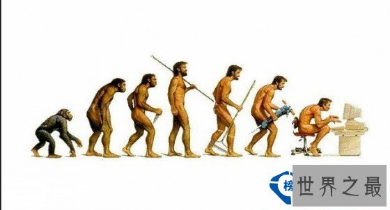 世界上十大高智商的动物排行榜 你知道谁最聪明吗？