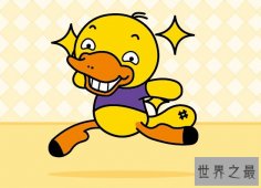 世界上现存最原始的哺乳卵生动物，鸭嘴兽有毒！（出现2500万年前）