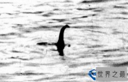 世界十大水怪排行榜图片，尼斯湖水怪最凶残