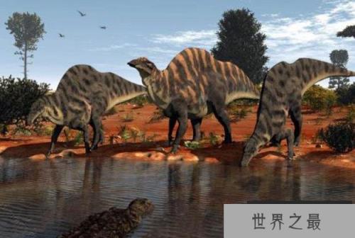 世界10大最大的恐龙