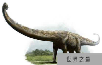 世界上最大的动物，蓝鲸以33米居榜首(最大动物盘点)