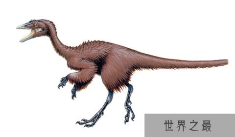 历史上最小的恐龙