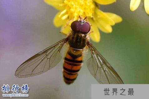 杀不死的十大生物,面对核武器都鄙夷不屑