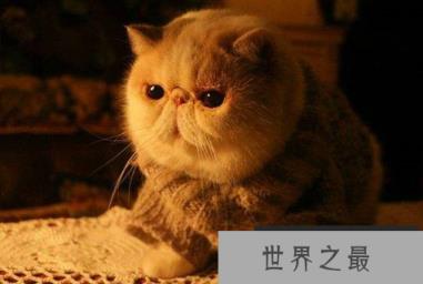 1591163828706981.png 微信截图_20200106102307.png