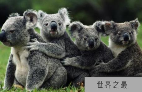 1591163839718182.png 微信截图_20200401111937.png