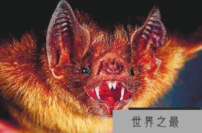 1591164291148049.png 微信截图_20200106102307.png