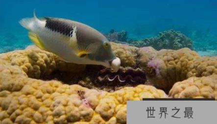 1591261508481522.png 微信截图_20200106102307.png