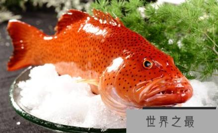 微信截图_20200106102307.png