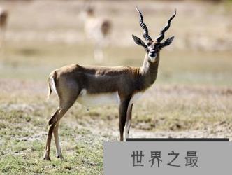 微信截图_20200106102307.png