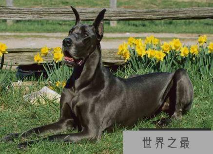 1591326743748977.png 微信截图_20200401111937.png