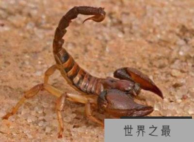 微信截图_20200401111937.png