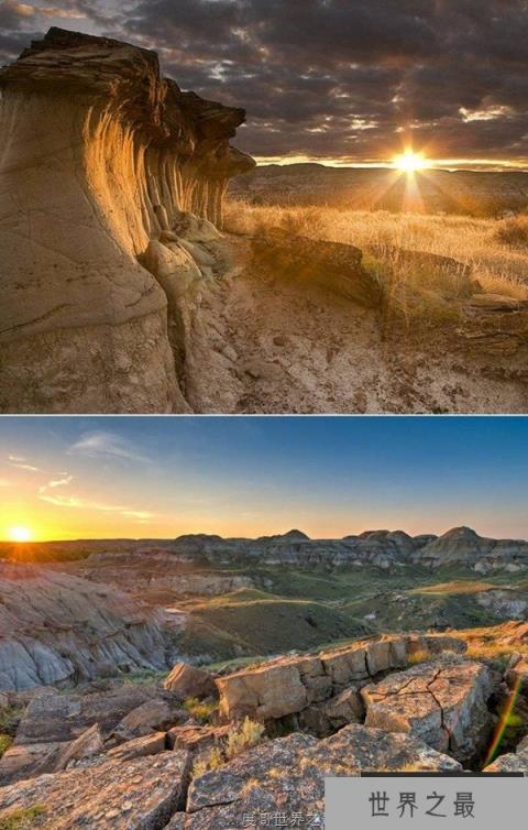 7000万年后才破案！科学家找到恐龙宝宝的死因