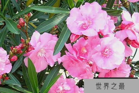 微信截图_20200401111937.png