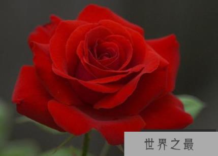 微信截图_20200401111937.png