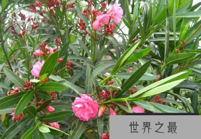微信截图_20200609143154.png