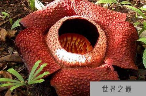 微信截图_20200609143126.png