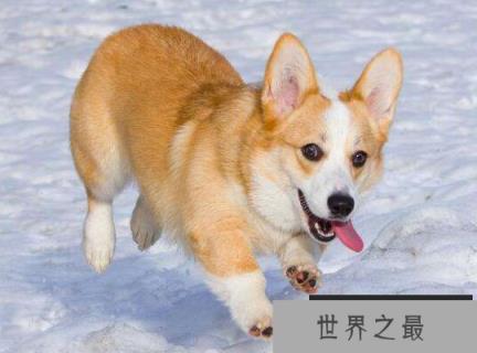微信截图_20200609143147.png