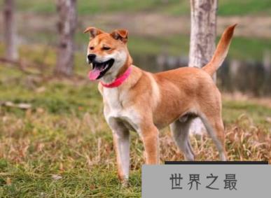 微信截图_20200609143126.png