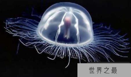 微信截图_20200609143154.png