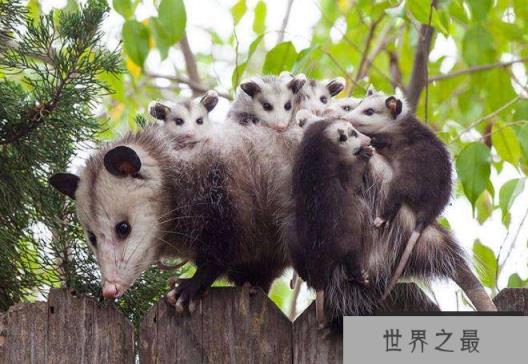 1591858486316274.png 微信截图_20200609143126.png