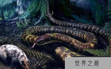 远古最可怕的三大巨蛇，在恐龙时代横行无阻