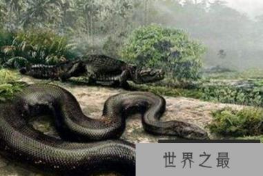 微信截图_20200609143147.png