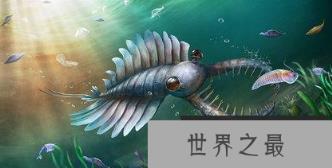 微信截图_20200609143126.png