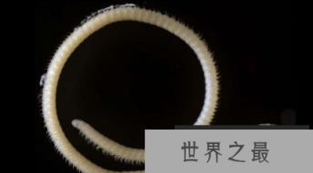 微信截图_20200609143154.png