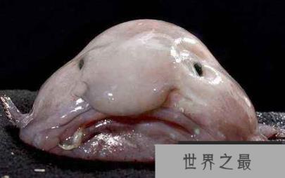 微信截图_20200609143154.png