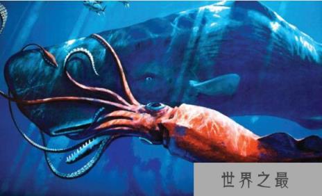 世界上潜水时间最长的鲸，抹香鲸(它的粪便竟是龙涎香)