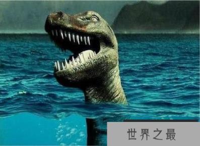 南非海怪
