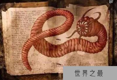 世界上最恐怖的动物，十大长相凶狠的“怪物”