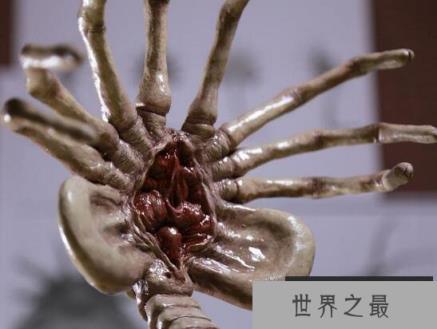 异形残忍血腥的抱脸虫，恶心寄生过程(重口味慎入)