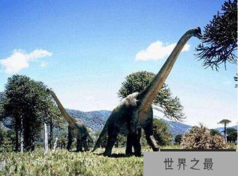世界上最长的恐龙，地震龙长达67米(走路会引发地震)