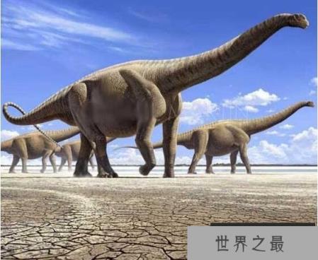 世界上最长的恐龙，地震龙长达67米(走路会引发地震)