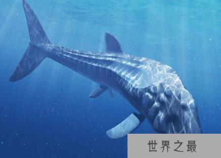有史以来最大的鱼类，侏罗纪利兹鱼(长达27米)
