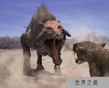 史上最凶猛的猪，完齿猪可以瞬间咬断你的骨头(已灭绝)