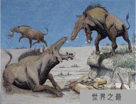 史上最凶猛的猪，完齿猪可以瞬间咬断你的骨头(已灭绝)