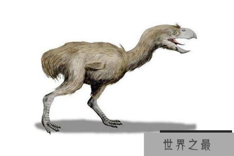 十大灭绝的可怕生物排名，一起看完，不要怂