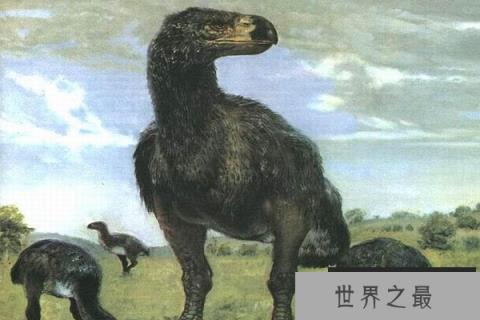 十大灭绝的可怕生物排名，一起看完，不要怂