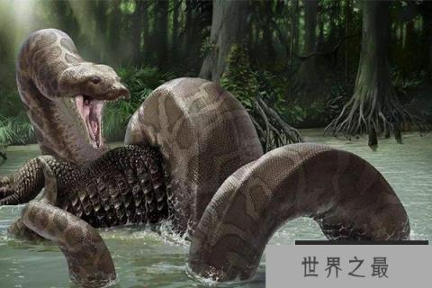 十大灭绝的可怕生物排名，一起看完，不要怂