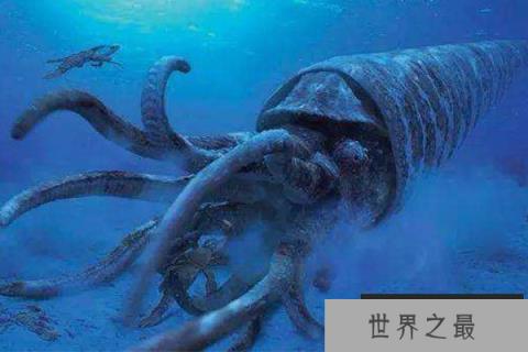 十大灭绝的可怕生物排名，一起看完，不要怂