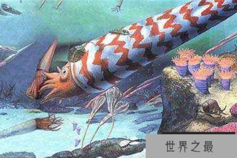 十大灭绝的可怕生物排名，一起看完，不要怂