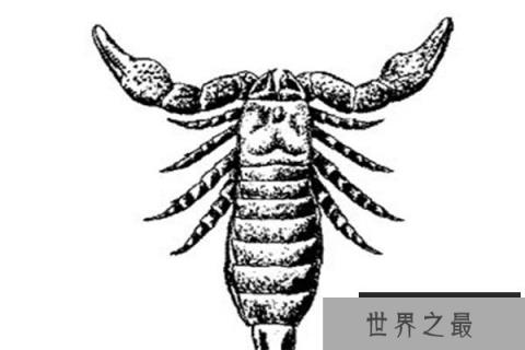 十大灭绝恐怖动物名单，所幸都已经成为化石