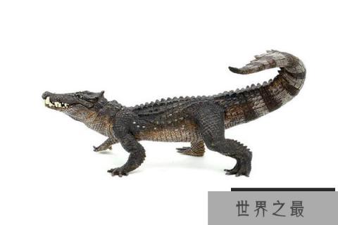 十大灭绝恐怖动物名单，所幸都已经成为化石