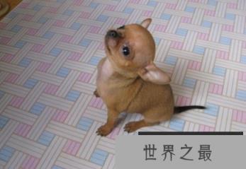 1586745609213070.png 1.png