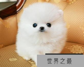 1586745614286011.png 微信截图_20200106102307.png