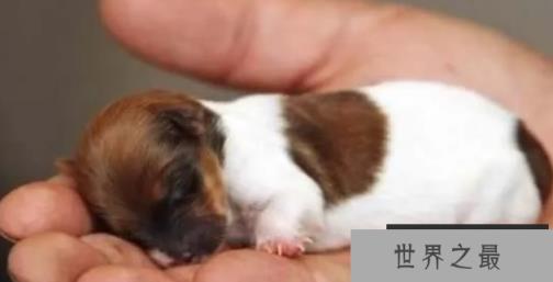 1586746386326418.png 微信截图_20200106102307.png